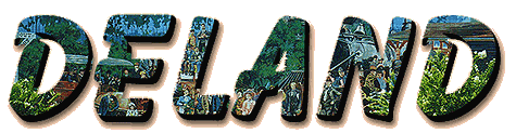 deland-title.GIF (27793 bytes)